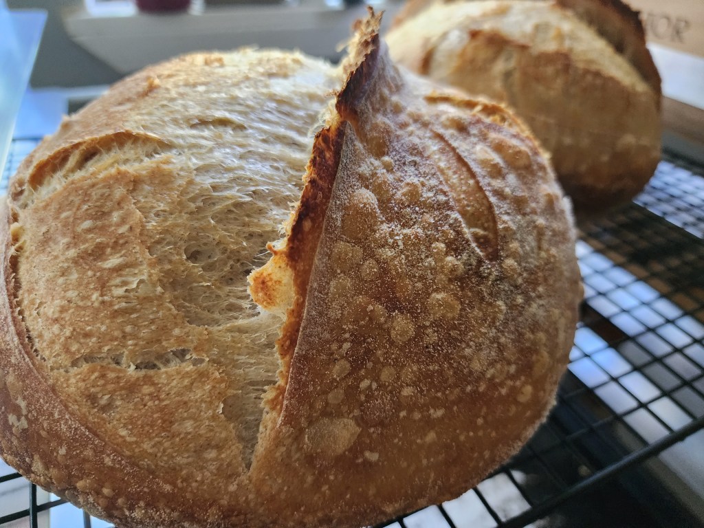 Loaf of country white sourdough.